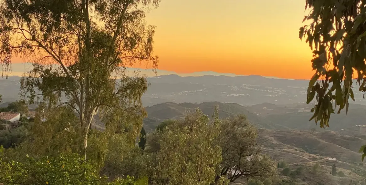 Продажа финки в Mijas 70