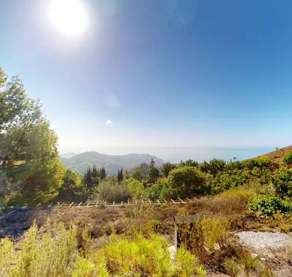 Sale of detached villa in Nerja