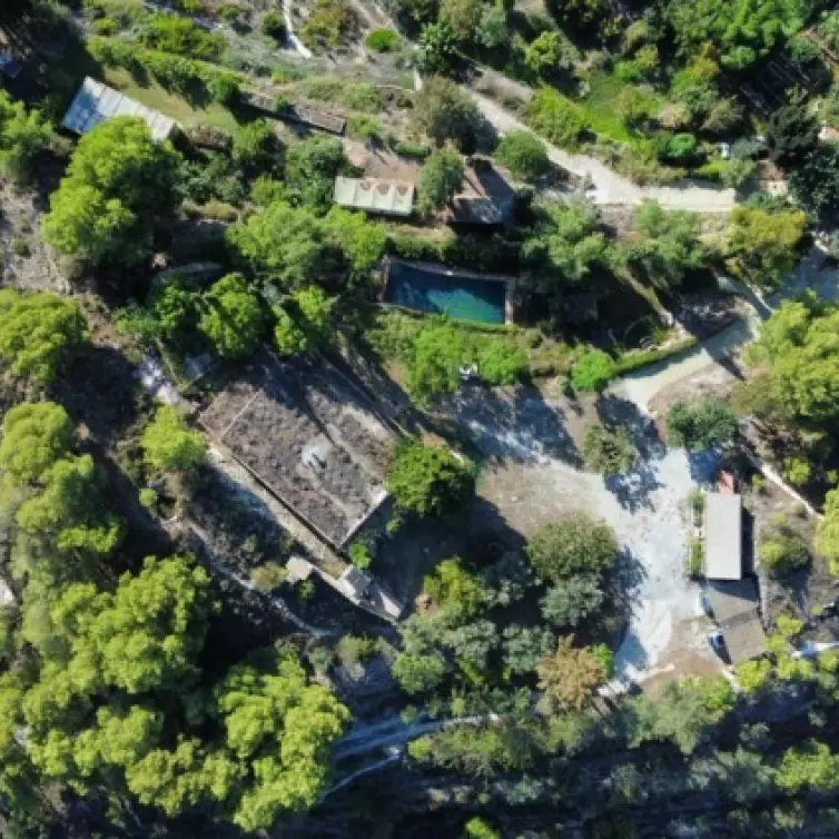 Sale of detached villa in Nerja
