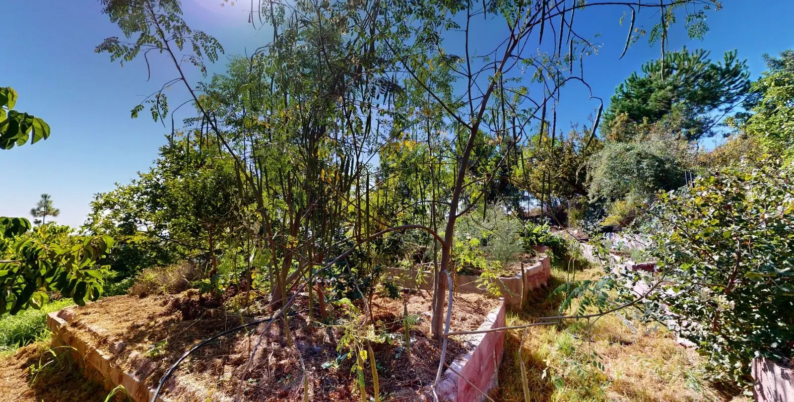 Venta de villa independiente en Nerja 47