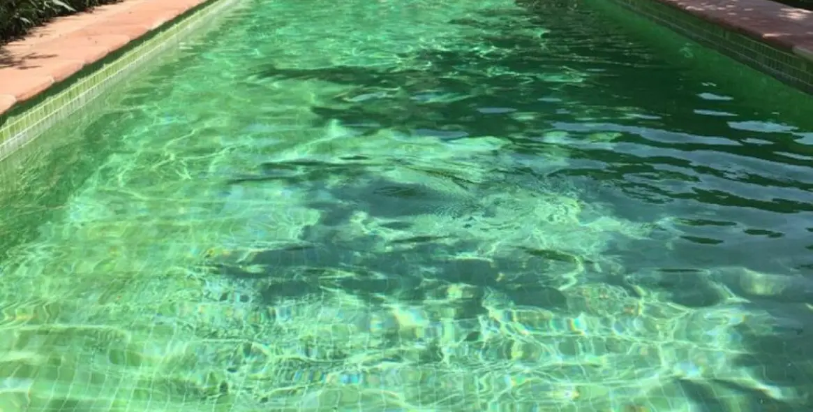 Продажа  отдельно стоящей виллы в San Pedro de Alcántara (район San Pedro de Alcántara) 18