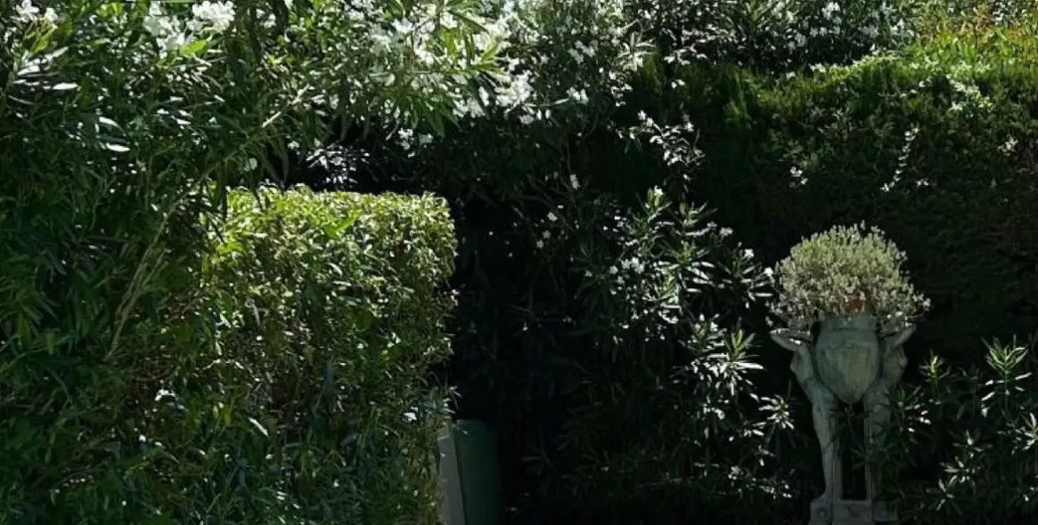 Продажа  отдельно стоящей виллы в San Pedro de Alcántara (район San Pedro de Alcántara) 19