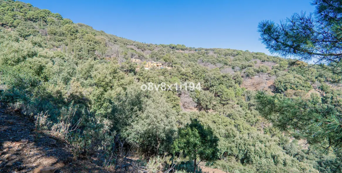 Sale of finca - cortijo in Jubrique 2