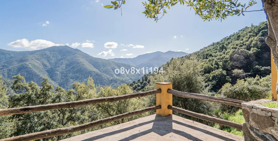 Sale of finca - cortijo in Jubrique 3