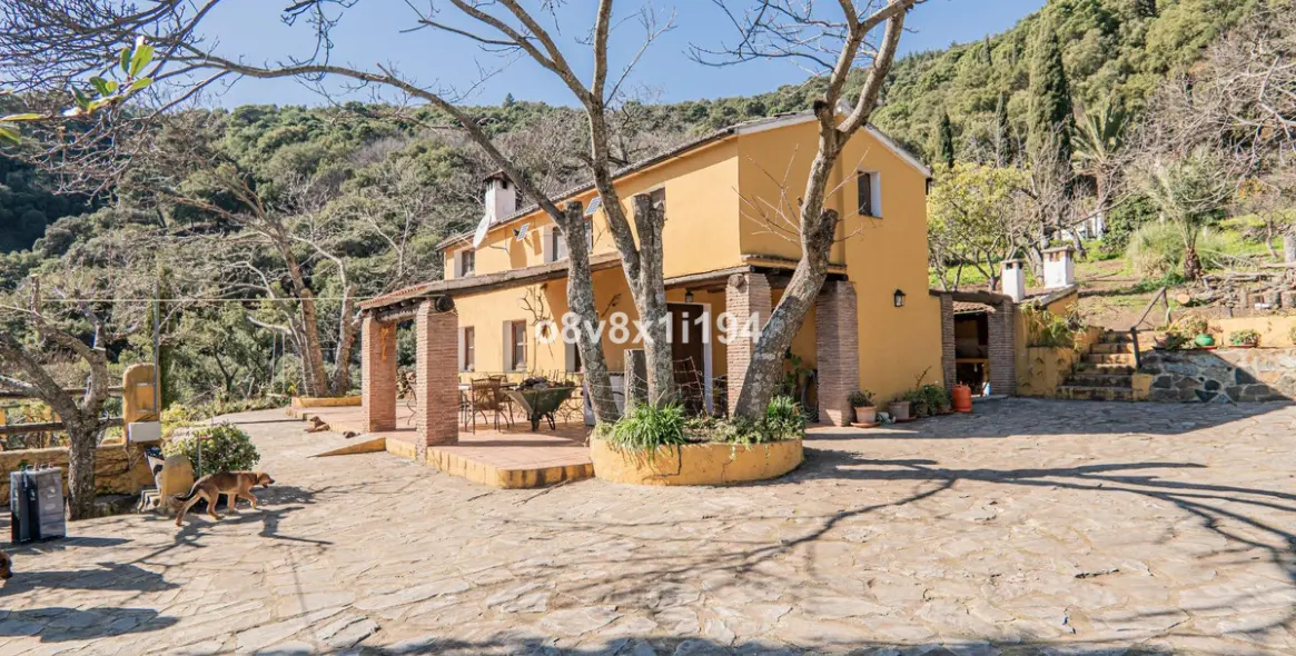 Sale of finca - cortijo in Jubrique 8