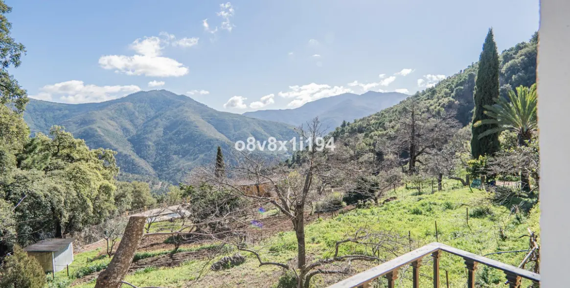 Sale of finca - cortijo in Jubrique 41