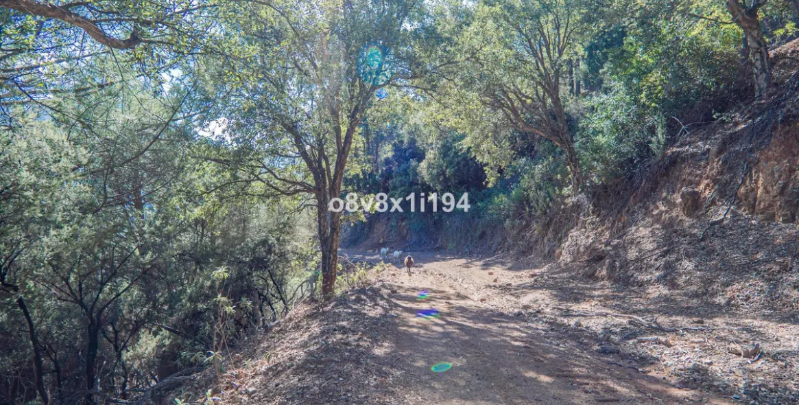 Sale of finca - cortijo in Jubrique 48