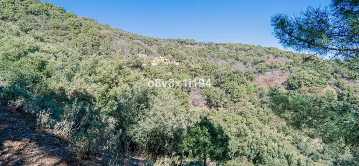 Sale of finca - cortijo in Jubrique 1