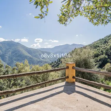 Sale of finca - cortijo in Jubrique