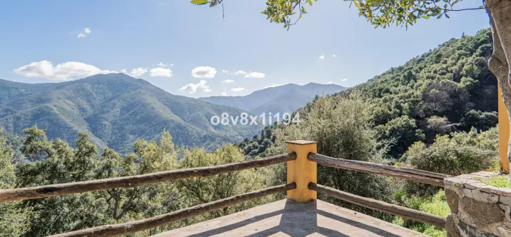 Sale of finca - cortijo in Jubrique 2