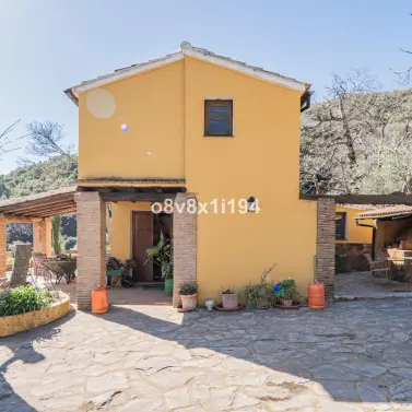 Sale of finca - cortijo in Jubrique