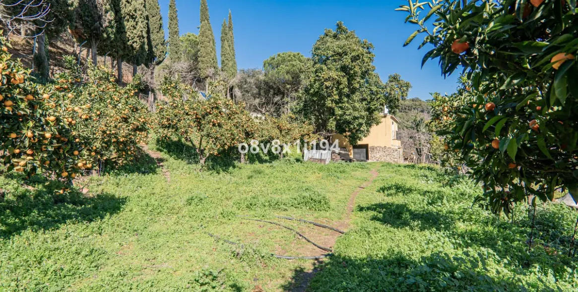 Sale of finca - cortijo in Jubrique 28