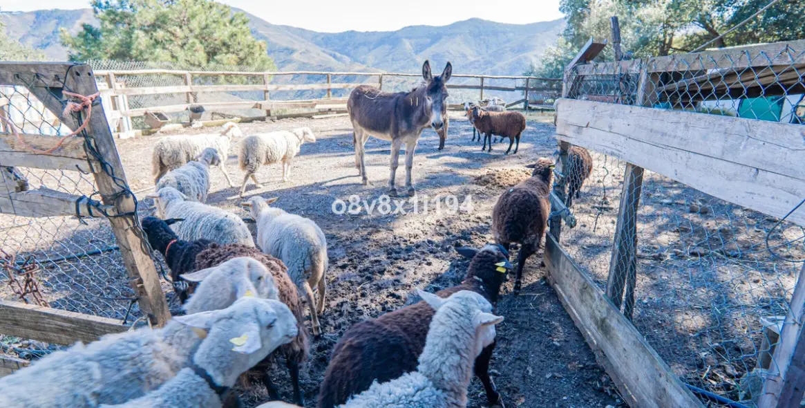 Sale of finca - cortijo in Jubrique 69