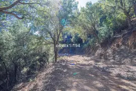 Image 70 thumb