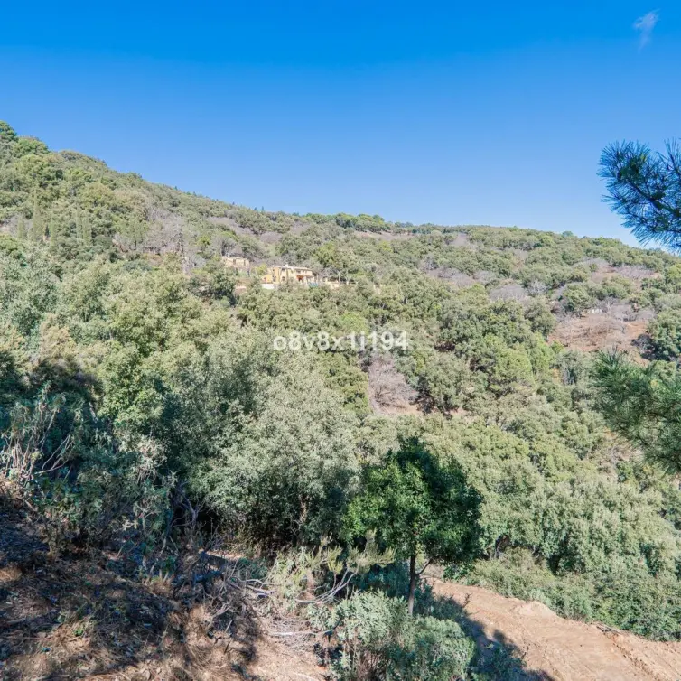 Sale of finca - cortijo in Jubrique