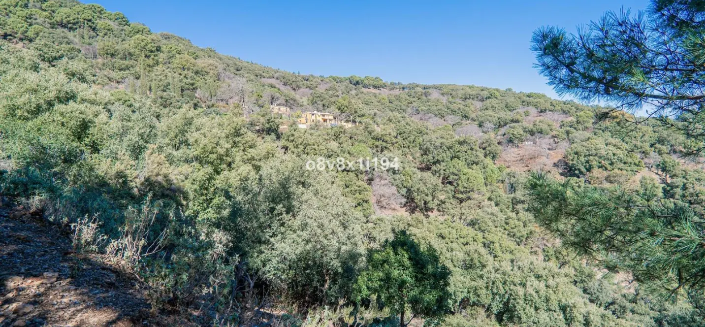 Sale of finca - cortijo in Jubrique 1