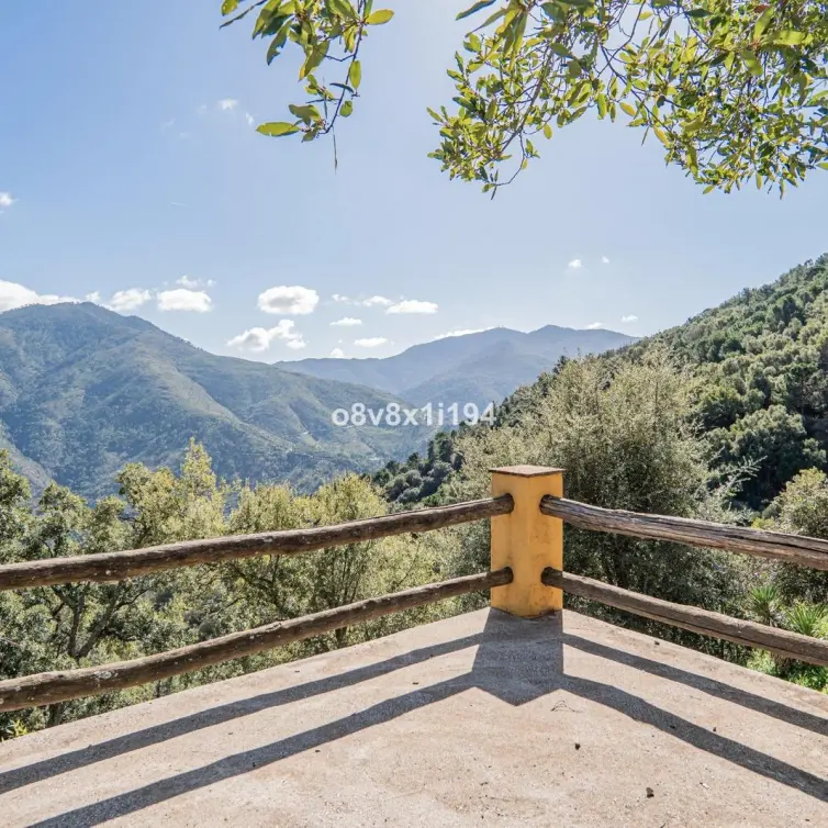 Sale of finca - cortijo in Jubrique