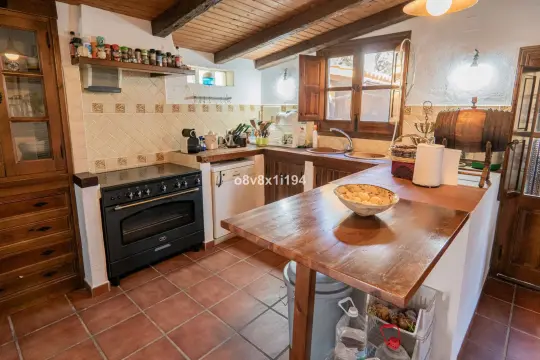 Image 15 thumb
