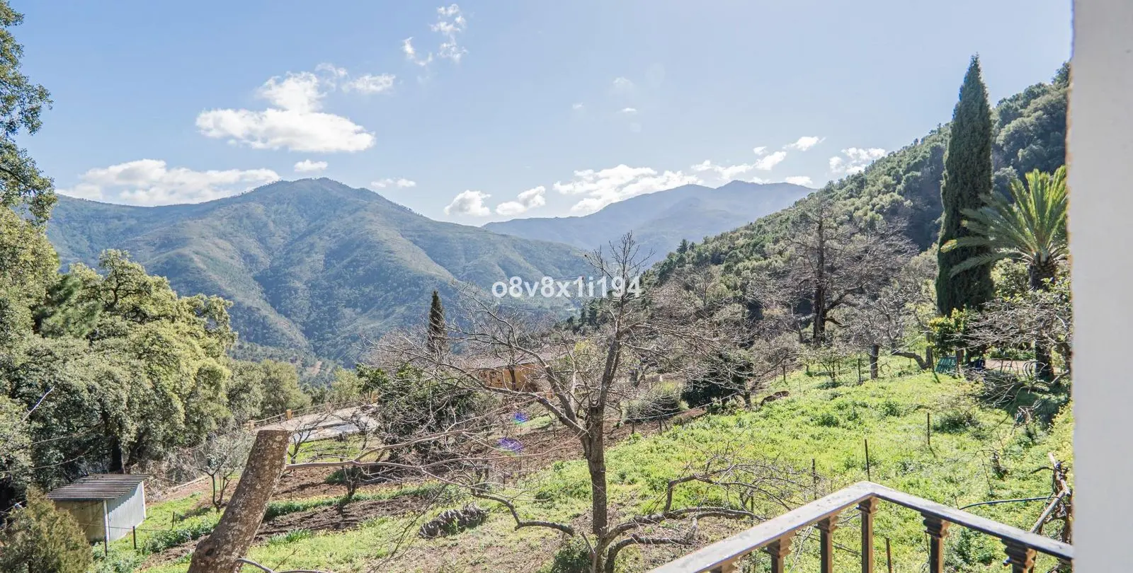Sale of finca - cortijo in Jubrique 41