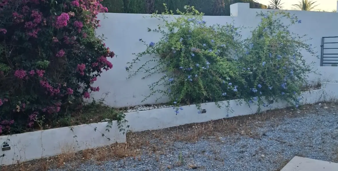 Sale of detached villa in Benalmadena 16