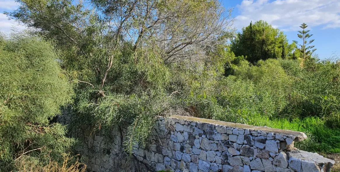 Sale of residential plot in Estepona 2