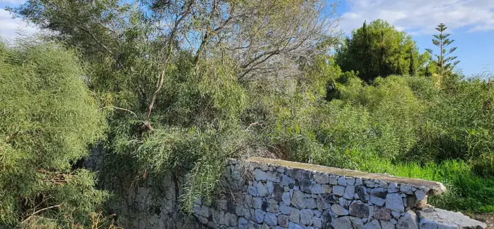 Venta de parcela residencial en Estepona 1