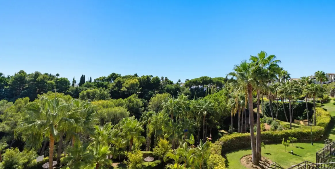 Sale of middle floor apartment in Sierra Blanca 4