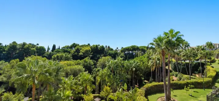 Sale of middle floor apartment in Sierra Blanca 3