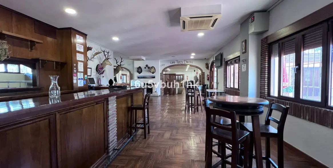 Продажа ресторана в Malaga - Ciudad Jardin 1