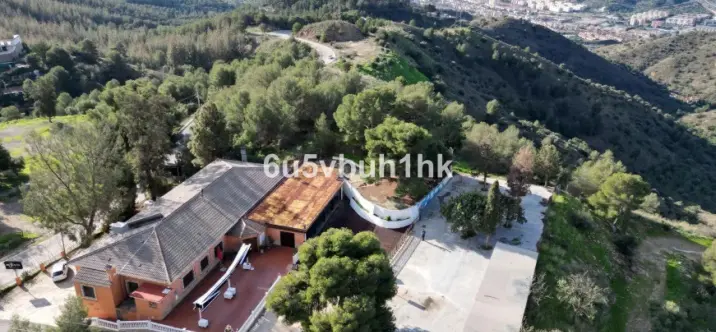 Продажа ресторана в Malaga - Ciudad Jardin 1