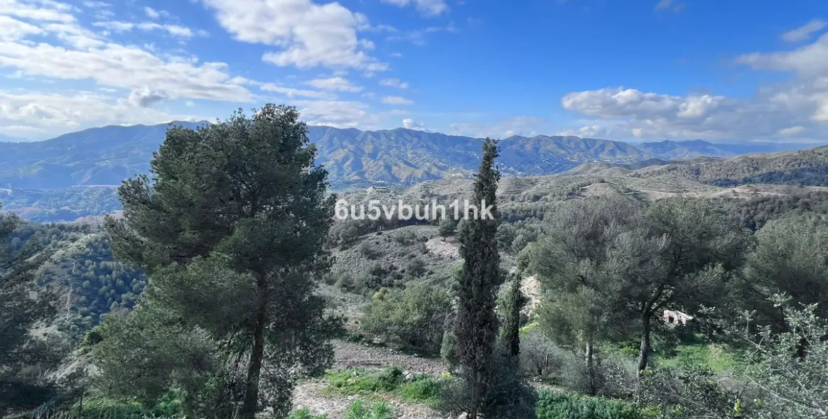 Продажа ресторана в Malaga - Ciudad Jardin 6