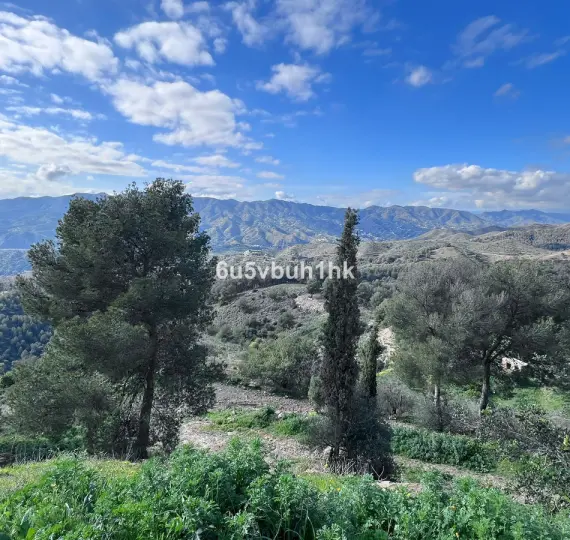 Продажа ресторана в Malaga - Ciudad Jardin