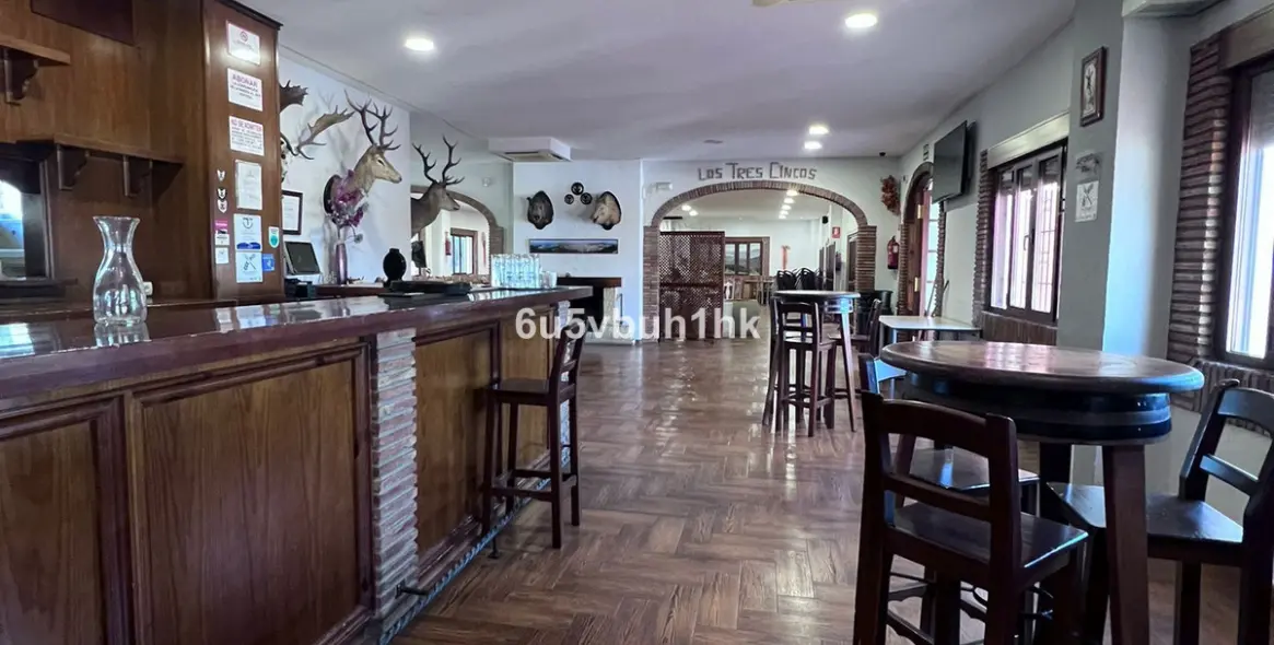 Продажа ресторана в Malaga - Ciudad Jardin 13