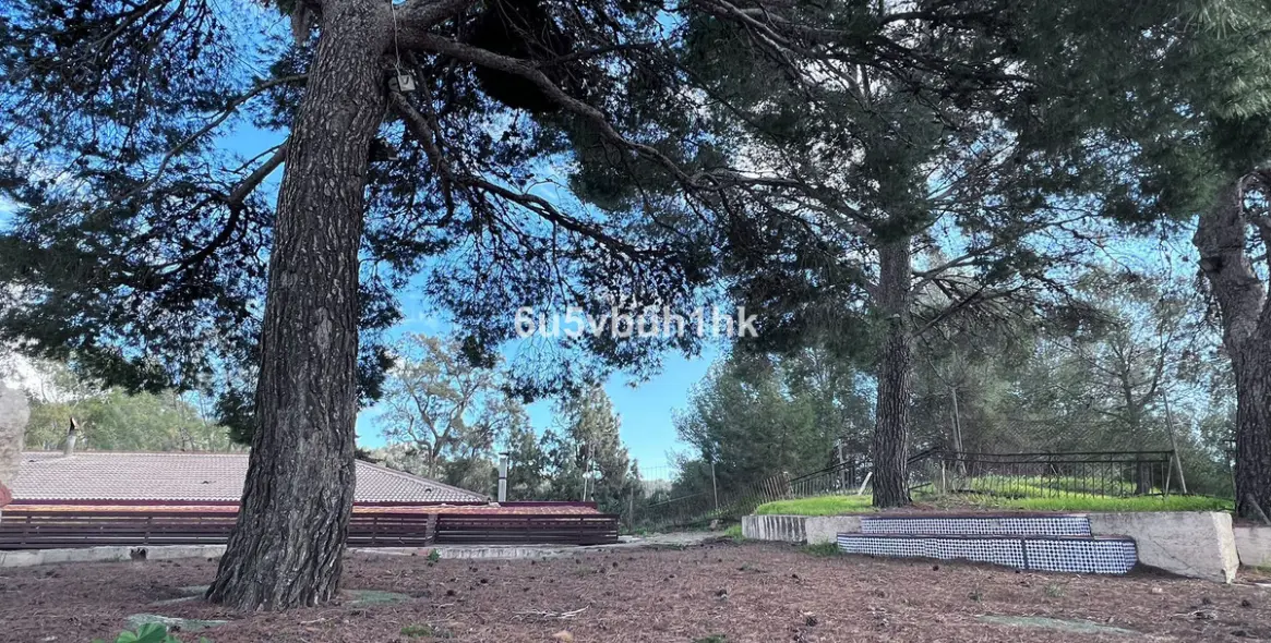 Sale of restaurant in Malaga - Ciudad Jardin 28