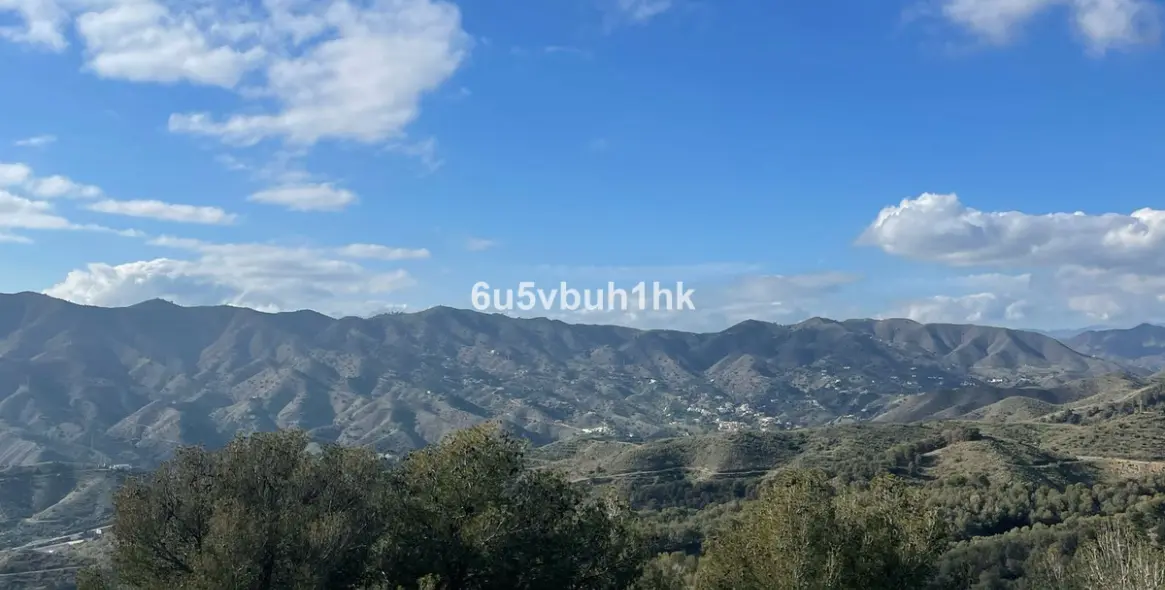 Sale of restaurant in Malaga - Ciudad Jardin 33