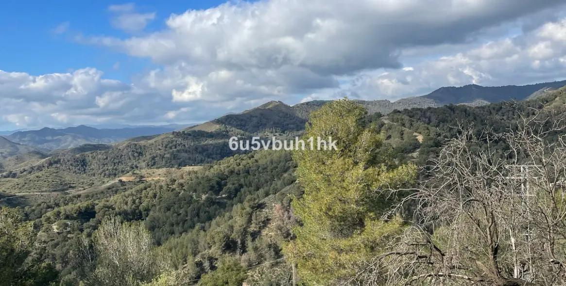 Sale of restaurant in Malaga - Ciudad Jardin 34