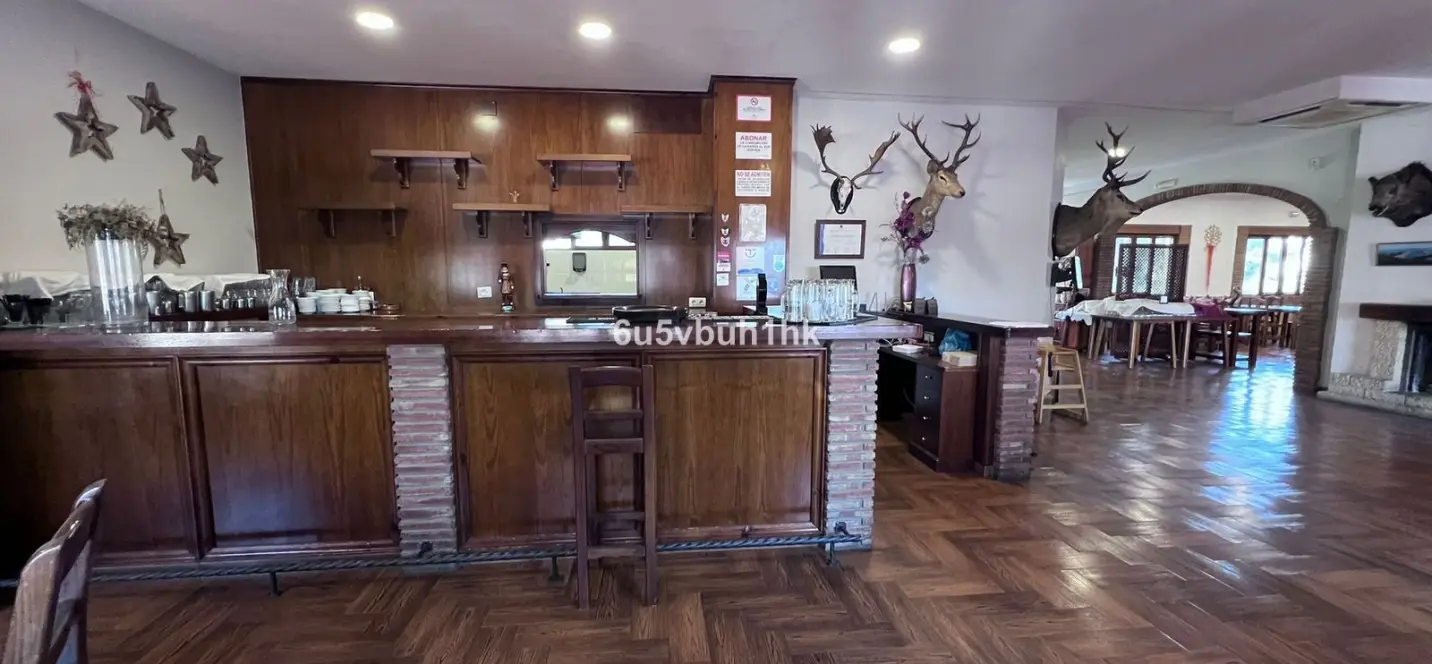 Sale of restaurant in Malaga - Ciudad Jardin 4