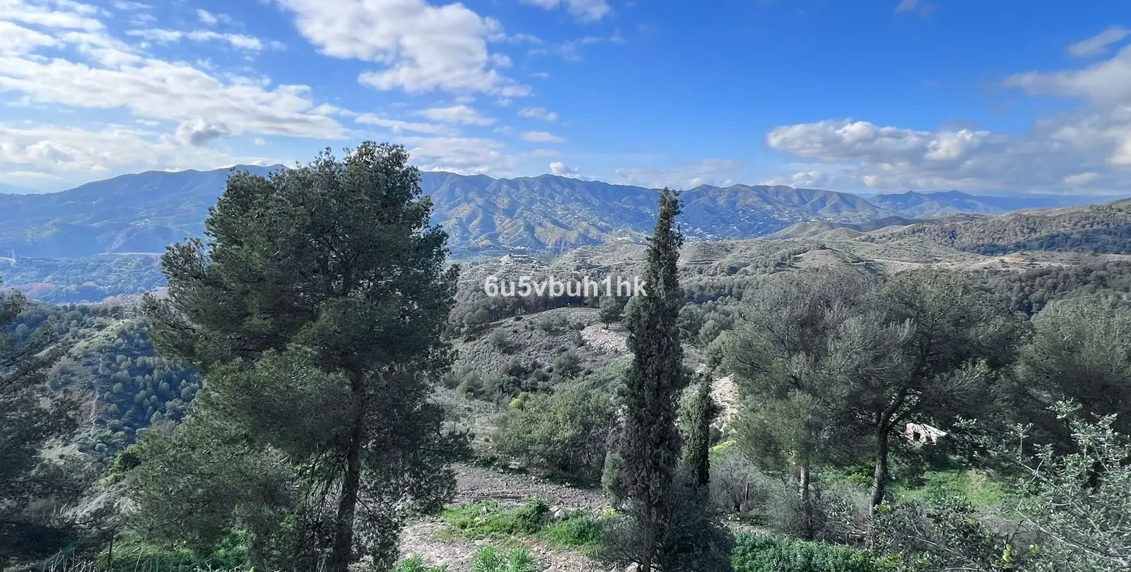 Sale of restaurant in Malaga - Ciudad Jardin 6