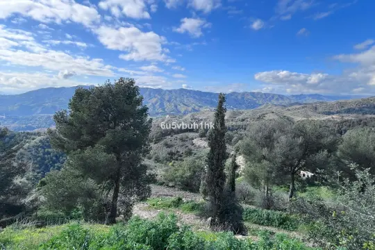 Image 6 thumb