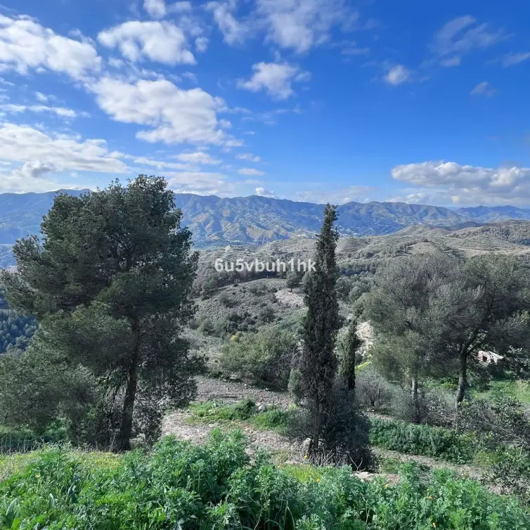 Sale of restaurant in Malaga - Ciudad Jardin
