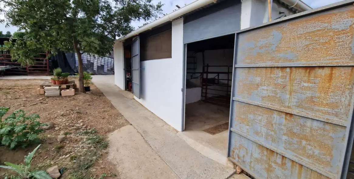 Sale of finca - cortijo in Alhaurín de la Torre 31