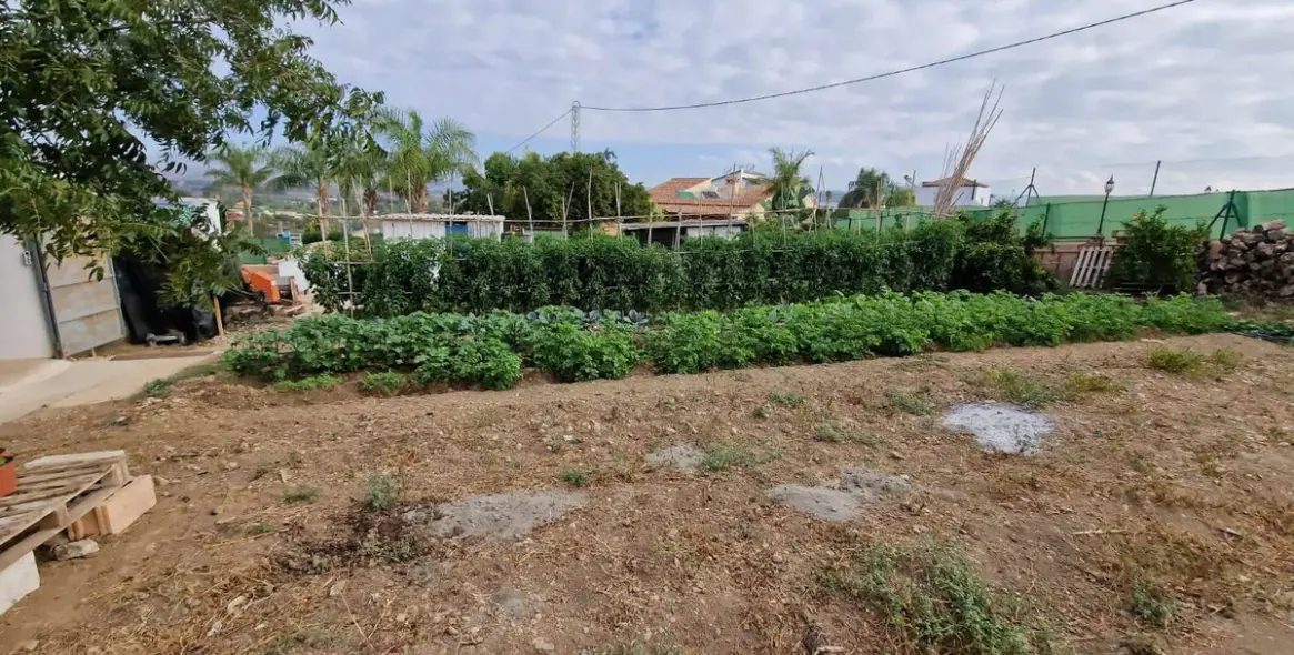 Sale of finca - cortijo in Alhaurín de la Torre 38