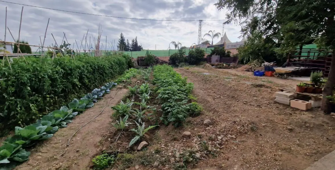 Sale of finca - cortijo in Alhaurín de la Torre 40