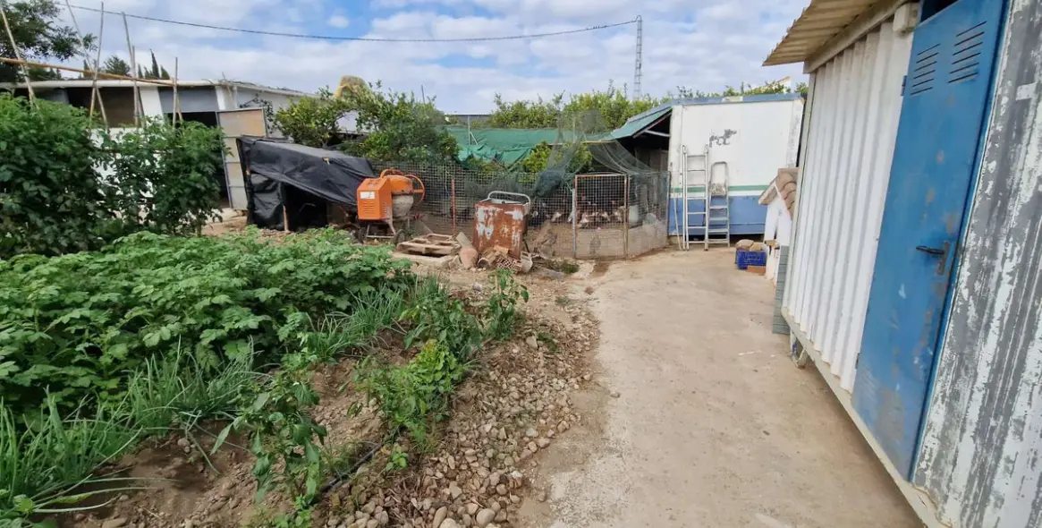 Sale of finca - cortijo in Alhaurín de la Torre 41