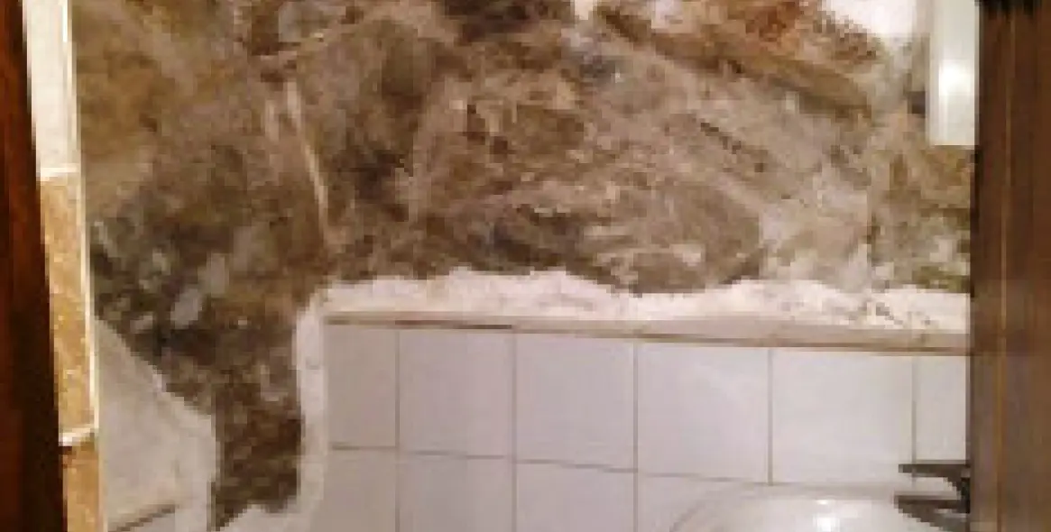 Sale of hostel in Monda 33