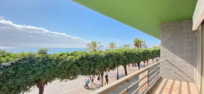 Sale of office in Marbella 0