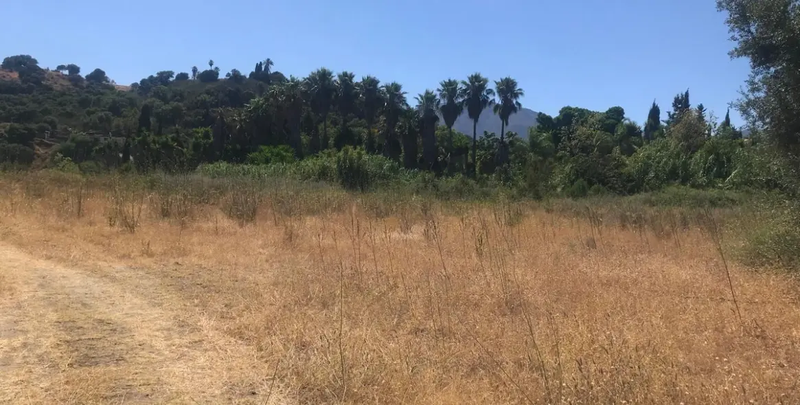 Sale of residential plot in Estepona 1