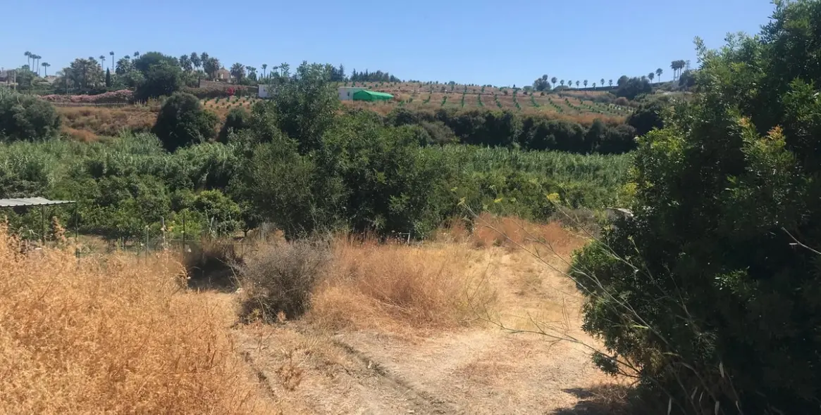 Sale of residential plot in Estepona 2