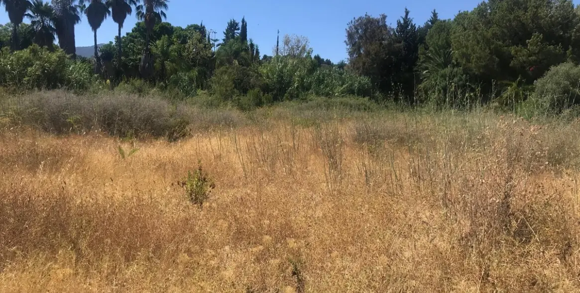 Sale of residential plot in Estepona 3