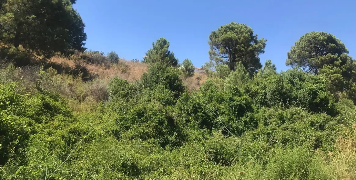 Sale of residential plot in Estepona 4